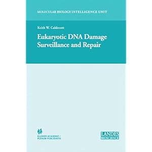 【クリックで詳細表示】Eukaryotic DNA Damage Surveillance and Repair (Molecular Biology Intelligence Unit) [ペーパーバック]
