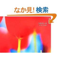 �t�����[�Y