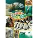 �̌�!���R������ [DVD]