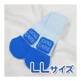 �P�A�\�b�N�X/LL/�u���[�@2�{����@�y������ ���� ���p�C�� �T�|�[�^�[ ���z