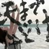 中村中のアルバムの画像