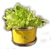 ���^�X�͔̍|�Z�b�g�I���g���K�[�f���iLittle Garden�j�@�E�v���@�K�[�f�����^�X