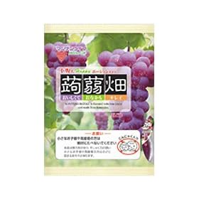 �}���i�����C�t�@���蔨�@�Ԃǂ��@12��
