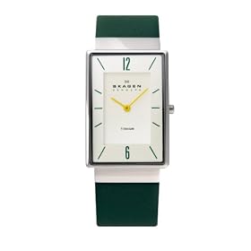 [�X�J�[�Q��]skagen �r���v FOREST J434LTLGR �����Y �y���K�A���i�z