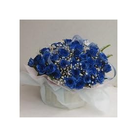 �L���L���u���[���[�Y�ƃJ�X�~�\�E�̃A�����W�����g���u���[�X�^�[�v���`�i���o���̃A�����W�����g���S�[���h�y���ԁz�y���j���z�y�L�O���z�y�a�����z�y�t�����[�M�t�g�z�y�o���z