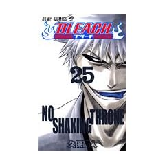 BLEACH�\�u���[�`�\ 25 (�W�����v�E�R�~�b�N�X)