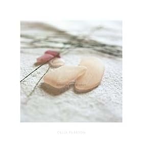 �|�X�^�[ �Z���A �s�A�\�� Sea Glass Pink