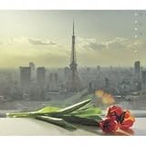 [CD]レミオロメン 花鳥風月