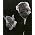 Herbert von Karajan �̃T���l�C���摜