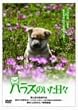 �n���X�̂������X [DVD]