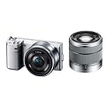 SONY �f�W�^�����J���� �� NEX-5N �_�u�������Y�L�b�g �V���o�[ NEX-5ND/S