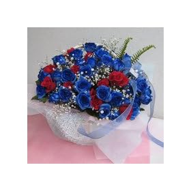 �L���L���u���[���[�Y�ƐԂ��o���I�J�X�~�\�E�̃A�����W�����g���X�^�[�W���G���[���G�N�Z�����g�y���ԁz�y���j���z�y�L�O���z�y�a�����z�y�t�����[�M�t�g�z�y�o���z