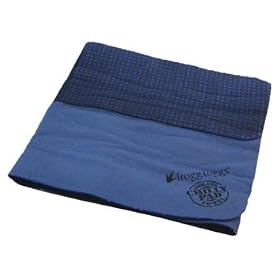 �`���[�p�b�h(CHILLY PAD) �⊴�^�I�� �`���[�p�b�h �l�C�r�[
