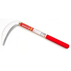 �S�[���f���X�^�[ �� ���|�p���n�� 180mm 1512