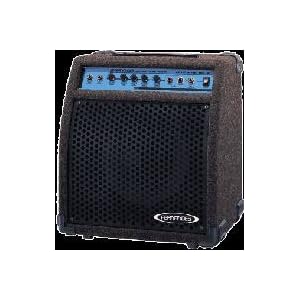 FERNANDES BS30