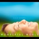Wonderful World