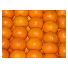 �y�����ܕs�g�p:�����̂��F�����z���B�݂���5Kg�y�r�b�O�T�C�Y�z