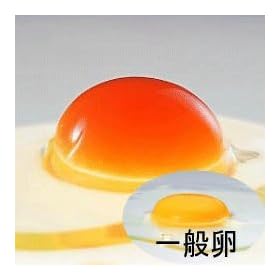 �Z�����[�W�� ���{��̂�����藑(�r�^�~��E�������Ƒ��̂�����藑