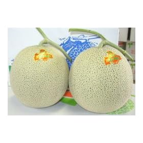 �k�C���O�}�Y�O�}�������i���s�A���b�h�j�@����2����(1.4kg�~2) �y�̔����ԁz7��5��~8��13��