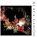 Live at HUCK FINN"Rest In Peace...AI" [12 inch Analog]