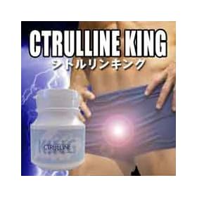 �V�g������King �iL-�V�g�������z�� �j���@�\�񕜃T�v���j