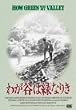 �킪�J�͗΂Ȃ肫 [DVD]