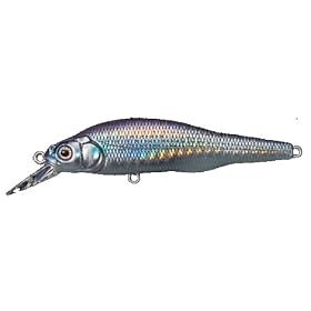 ���K�o�X(Megabass) X-80 BEAT SW 06 GG�{��
