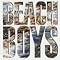 The Beach Boys 入門(1500円シリーズ)