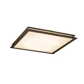�m���V�[�����O���C�g LF-2895-L �_�[�N�I�[�N�F