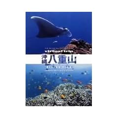 virtual trip ���ꔪ�d�R Diving View [DVD]