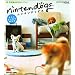 �j���e���h�b�O�X�\�q���Ƃ͂��߂�V����  �����_�[���C�t�X�y�V���� NINTENDO DS�C�V�������K�C�h�u�b�N