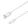 PLANEX Apple�F�؎擾 Lightning�P�[�u��(iPhone5/iPad/iPad m&hellip �v���l�b�N�X