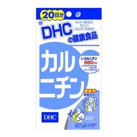 DHC 20�����J���j�`��
