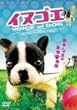 �C�k�S�G [DVD]