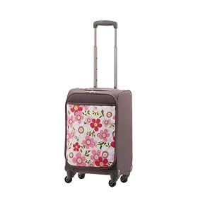 �T���R�[ �������E�Z�g�� 45cm