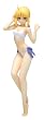 Fate/hollow ataraxia 1/10 �Z�C�o�[