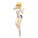 Fate/hollow ataraxia 1/10 �Z�C�o�[