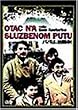 �p�p�́A�o����! [DVD]