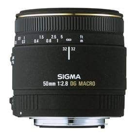 �V�O�} 50mm F2.8 EX DG MACRO �j�R���p