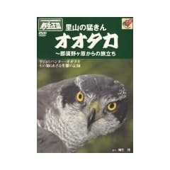 �I�I�^�J ���R�̖҂��� [DVD]