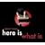 Here Is What Is