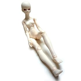 50BD-F01W-G�@50cm�����{�f�B���z���C�e�B