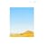 Gift [�s���D�]�ʐ^�W]