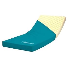 �u���[�� CR-262