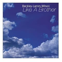 Like A Brother(import)