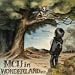 MCU in WONDERLAND e.p.