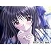 ����͕����U����̂悤�Ɂ@DVD-ROM��