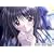 ����͕����U����̂悤�Ɂ@DVD-ROM��