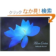 �u���[�E���[�^�X