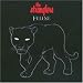 Feline